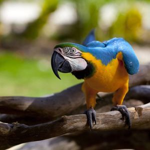 Meet your Posher, Marlyne